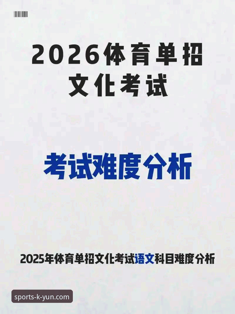 开yun体育平台2025入口功能详解：从安装到高效使用教程